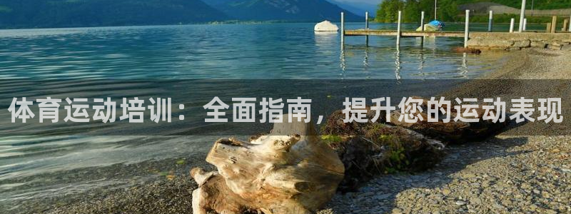 焦点娱乐软件版本大全：体育运动培训：全面指南，提升您