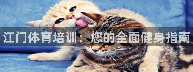 焦点娱乐官网下载安装手机版最新：江门体育培训：您的全