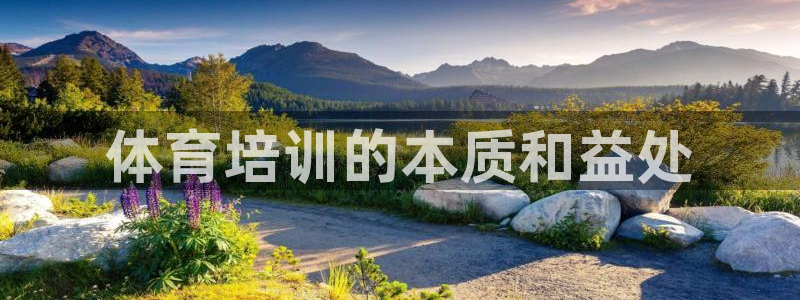 焦点娱乐负责人：体育培训的本质和益处