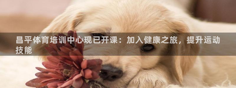 焦点娱乐游戏攻略视频：昌平体育培训中心现已开课：加入