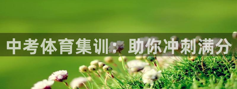焦点娱乐财神