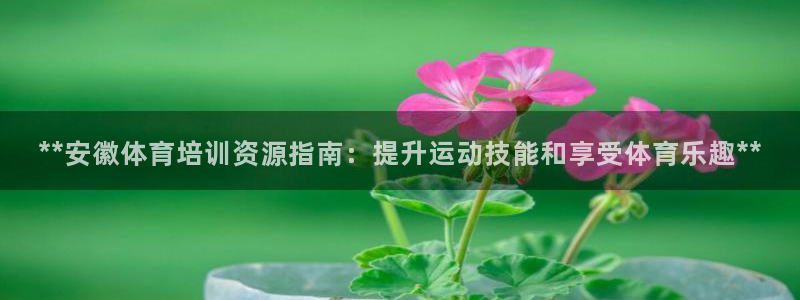 焦点娱乐平台客服电话：**安徽体育培训资源指南：提升