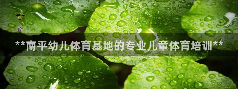 焦点娱乐官方网站入口下载：**南平幼儿体育基地的专业