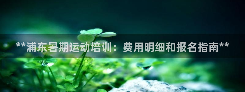 焦点娱乐总代理在哪：**浦东暑期运动培训：费用明细和