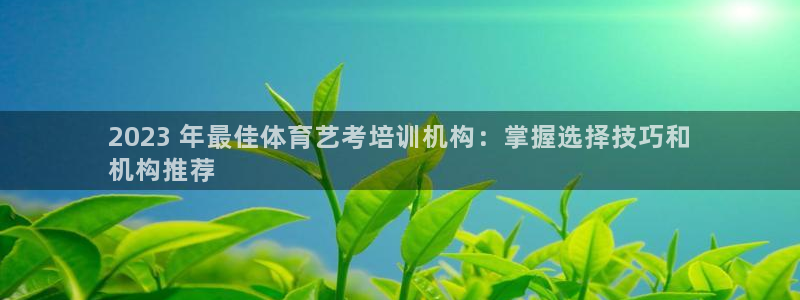 焦点娱乐平台总代理开户：2023 年最佳体育艺考培训