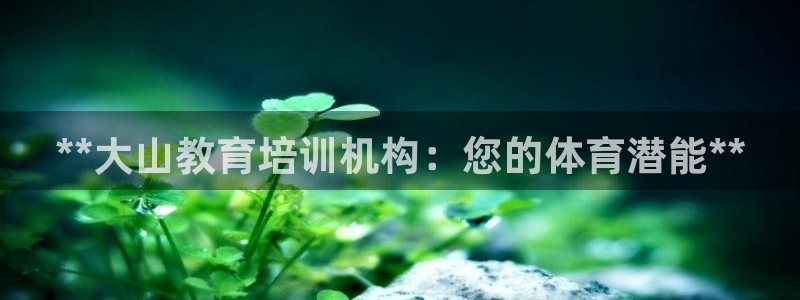 焦点娱乐平台客服电话号码是多少：**大山教育培训机构