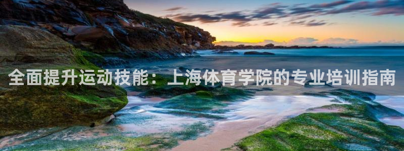 焦点娱乐是哪个公司的品牌：全面提升运动技能：上海体育
