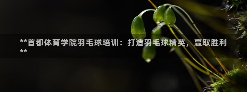 焦点娱乐平台西7O777