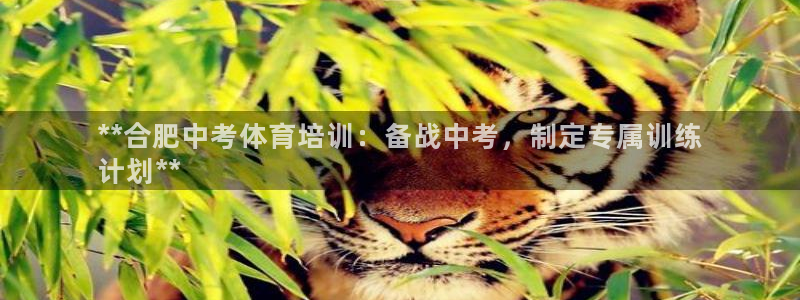 焦点娱乐App下载：**合肥中考体育培训：备战中考，