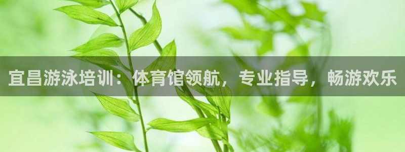焦点娱乐平台客服热线：宜昌游泳培训：体育馆领航，专业