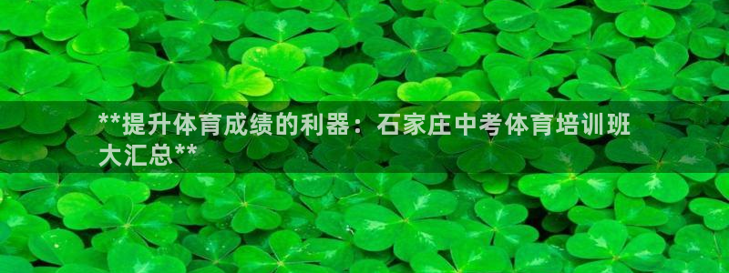 焦点娱乐下载手机版最新版：**提升体育成绩的利器：石