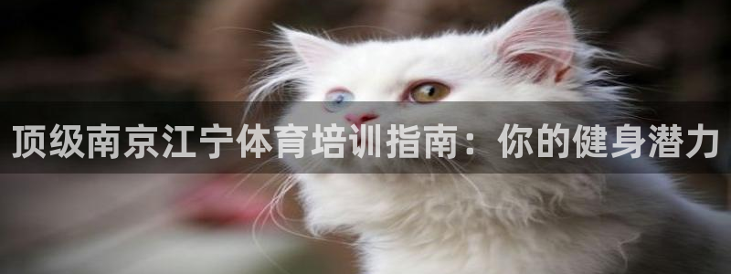 焦点娱乐加速器：顶级南京江宁体育培训指南：你的健身潜