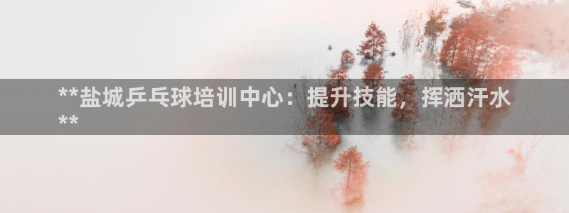 焦点娱乐官方网站下载手机版安装：**盐城乒乓球培训中