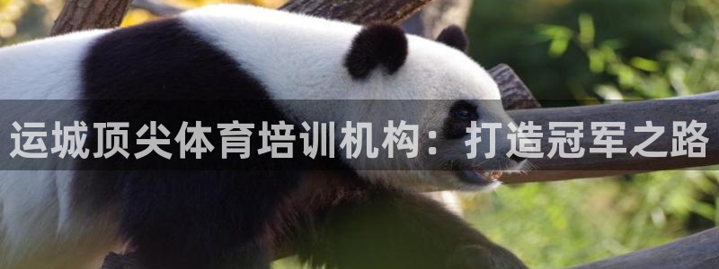 焦点娱乐app下载安装方式最新：运城顶尖体育培训机构
