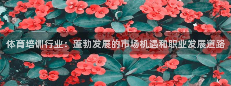焦点娱乐平台登录不了怎么办：体育培训行业：蓬勃发展的