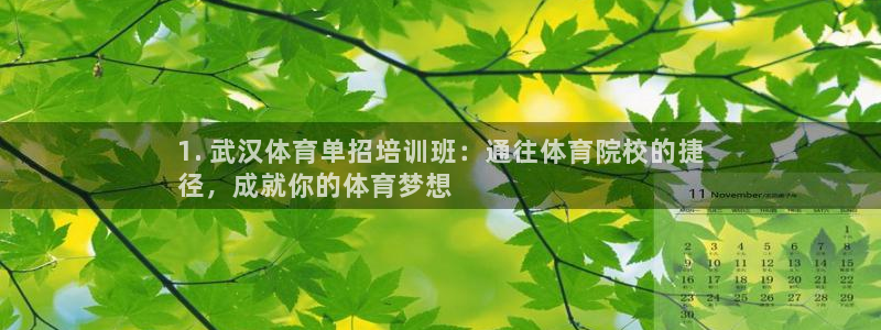 焦点娱乐网站下载地址在哪：1. 武汉体育单招培训班：