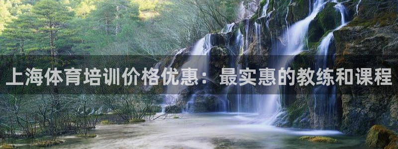 焦点娱乐下载手机版官网：上海体育培训价格优惠：最实惠