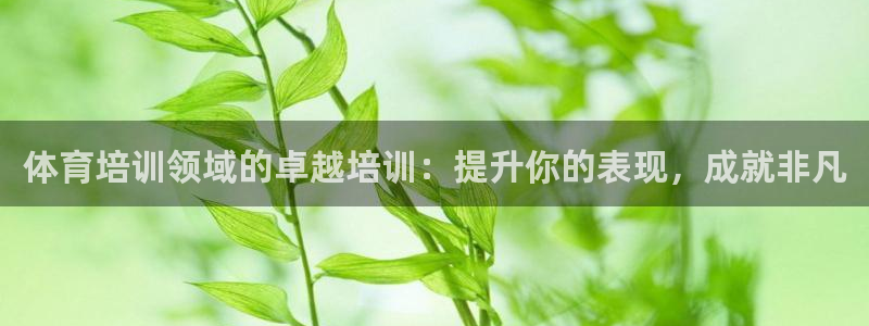 焦点娱乐平台是正规的吗知乎推荐：体育培训领域的卓越培