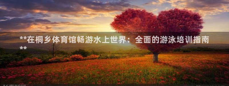焦点娱乐官网下载安装手机版苹果：**在桐乡体育馆畅游
