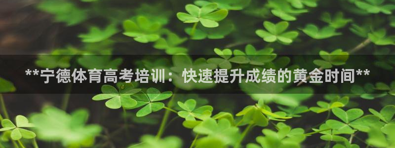 焦点娱乐官方网站入口下载：**宁德体育高考培训：快速