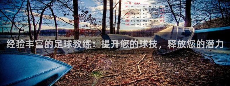 焦点娱乐软件版本大全：经验丰富的足球教练：提升您的球