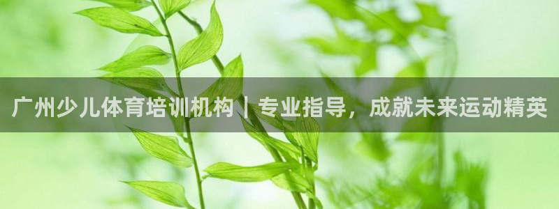 焦点娱乐有限公司官网：广州少儿体育培训机构｜专业指导