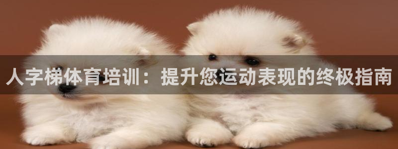 焦点娱乐传媒有限公司是干嘛的：人字梯体育培训：提升您