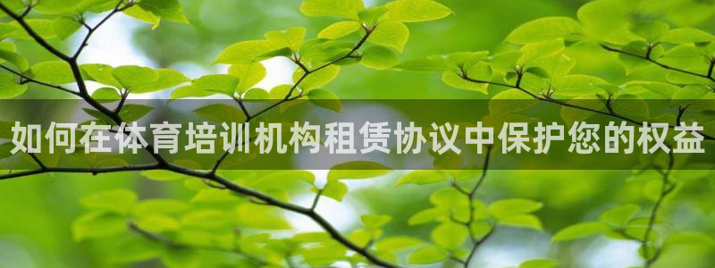 焦点娱乐app下载官网最新版：如何在体育培训机构租赁