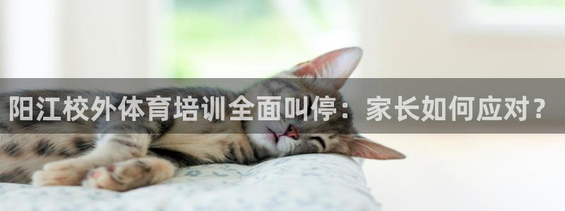 焦点娱乐平台客服热线电话：阳江校外体育培训全面叫停：