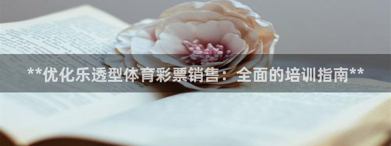 焦点娱乐传媒有限公司：**优化乐透型体育彩票销售：全