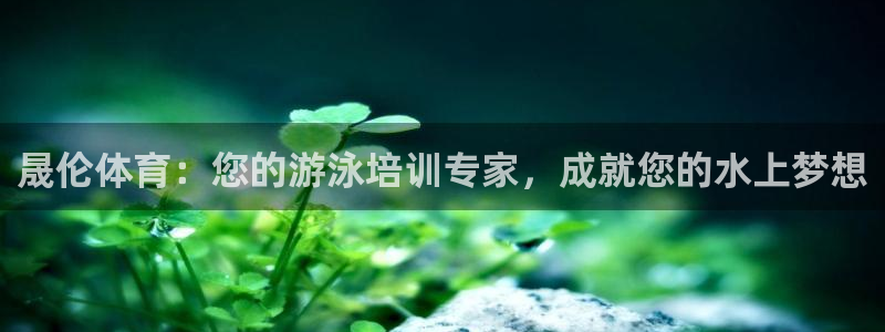 焦点娱乐传媒有限公司：晟伦体育：您的游泳培训专家，成