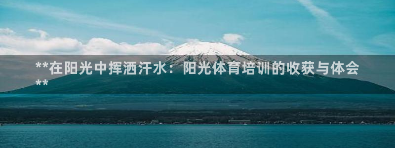 焦点娱乐公司的发展历程简介：**在阳光中挥洒汗水：阳