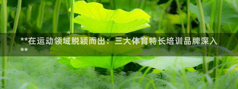 焦点娱乐星：**在运动领域脱颖而出：三大体育特长培训