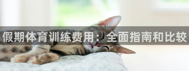 焦点娱乐软件版本下载：假期体育训练费用：全面指南和比