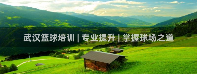焦点娱乐app下载官网最新版苹果：武汉篮球培训 | 