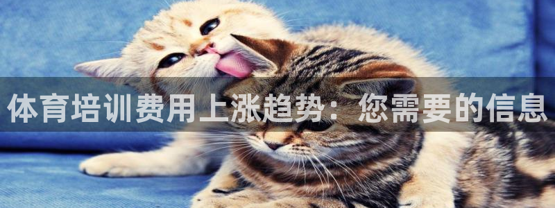 焦点娱乐传媒有限公司怎么样：体育培训费用上涨趋势：您