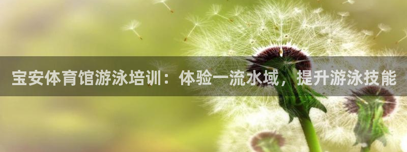 焦点娱乐app下载苹果版：宝安体育馆游泳培训：体验一