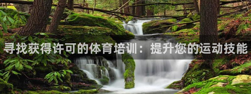 焦点娱乐是什么软件：寻找获得许可的体育培训：提升您的