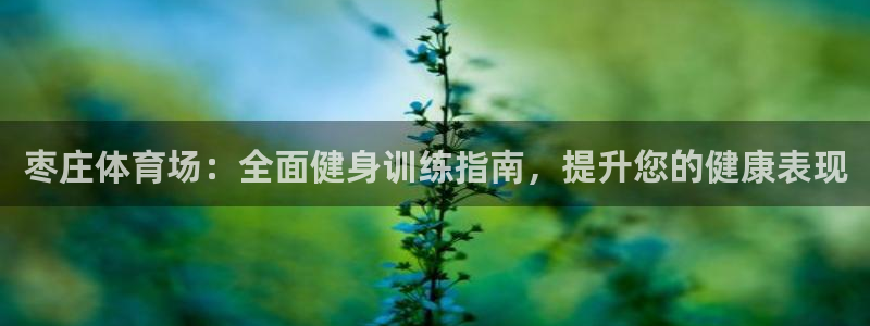 焦点娱乐官网下载安装最新版：枣庄体育场：全面健身训练
