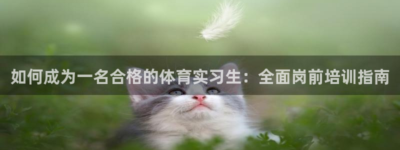 焦点娱乐传媒有限公司官网首页：如何成为一名合格的体育