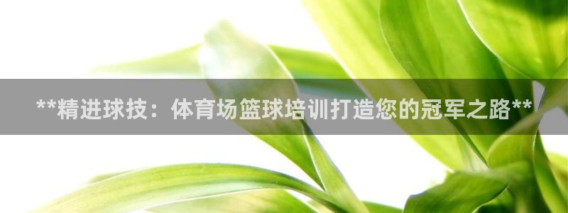 焦点娱乐传媒有限公司是干嘛的啊：**精进球技：体育场
