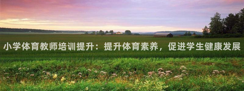 焦点娱乐网站下载地址在哪：小学体育教师培训提升：提升