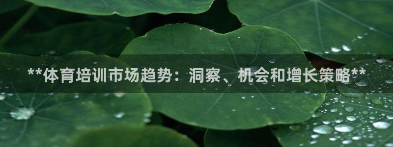 焦点娱乐加速器下载安卓