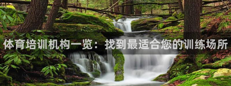 焦点娱乐传媒有限公司官网首页：体育培训机构一览：找到