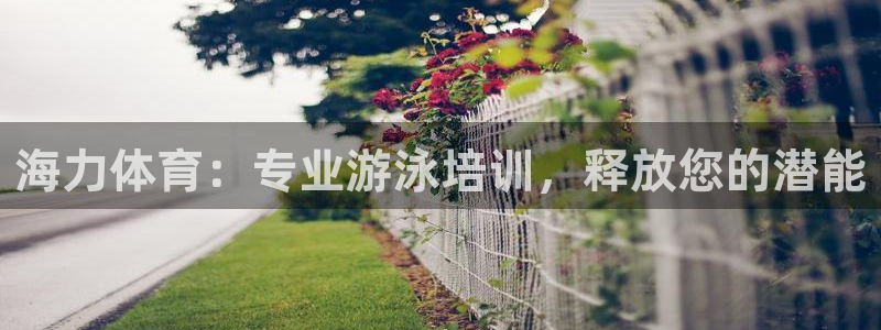 焦点娱乐公司的发展历程简述：海力体育：专业游泳培训，