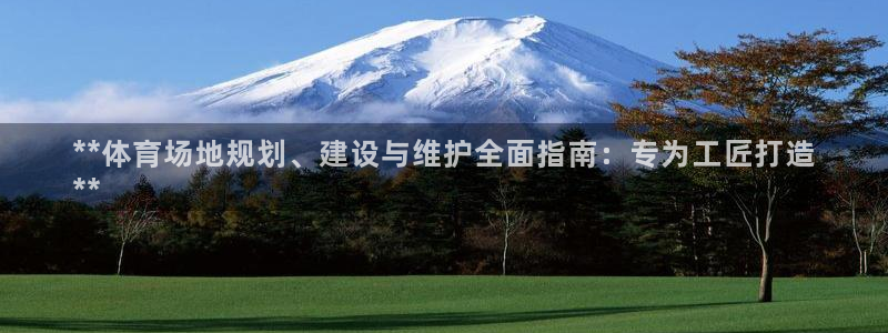 焦点娱乐官方网站入口在线观看下载：**体育场地规划、