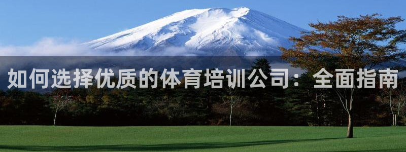 焦点娱乐全国总冠军