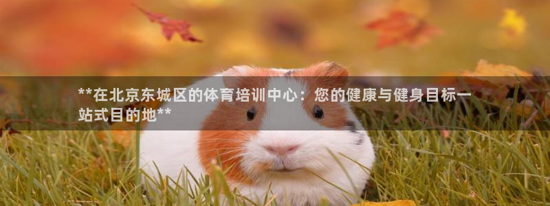 焦点娱乐平台怎么样赚钱：**在北京东城区的体育培训中