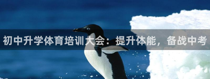 焦点娱乐官网首页入口网址：初中升学体育培训大会：提升