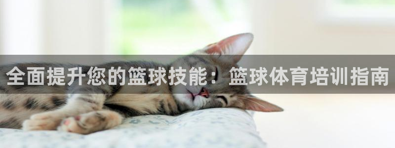 焦点娱乐传媒有限公司怎么样：全面提升您的篮球技能：篮